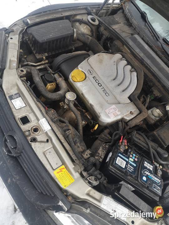 Kompletny silnik opel vectra b 16 Gorzów Wielkopolski sprzedam