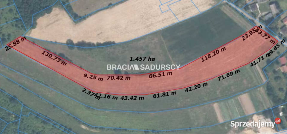 Grunt Młodziejowice 14300m2 sprzedam