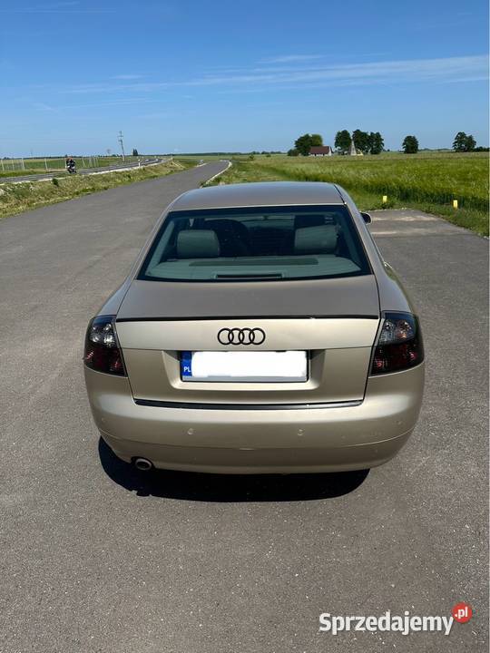 Audi a4 b6 20 nieuszkodzony Wronki