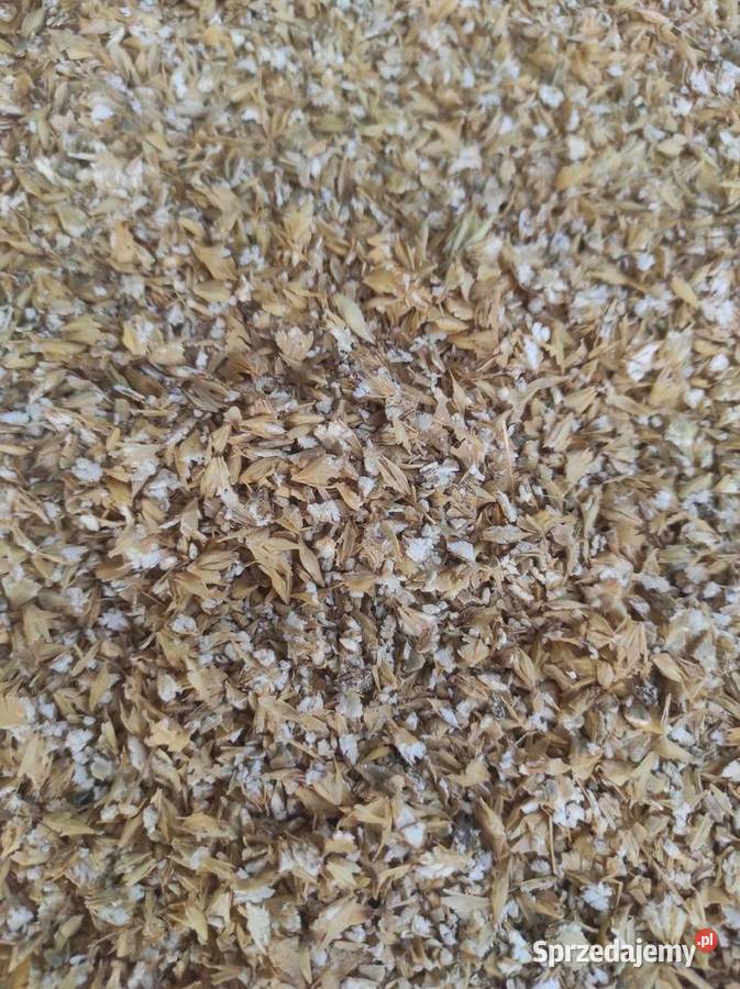 Gniotownik do zboża walce nieuszkodzony Radoszyce sprzedam