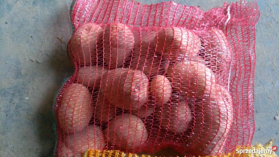 Sprzedam ziemniaki jadalne Marabell Bellarosa Borów-Kolonia