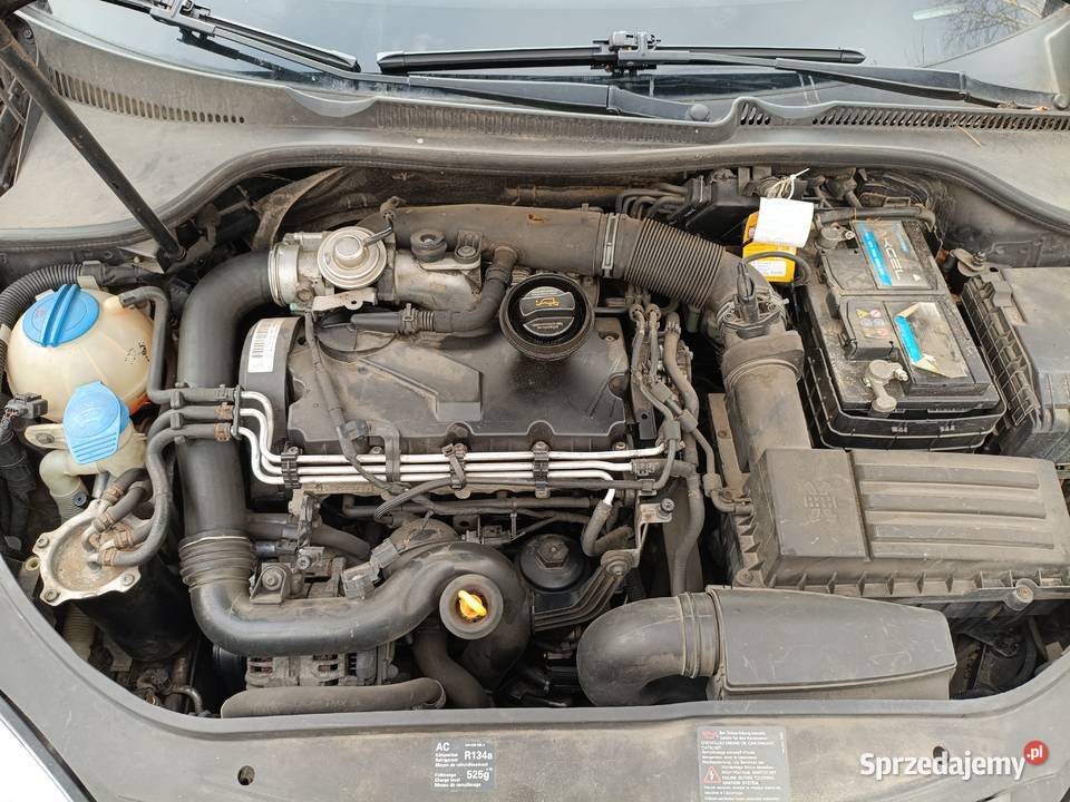 Golf Samochody osobowe