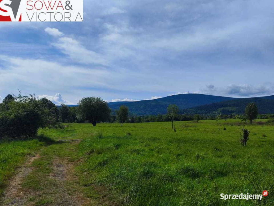 Ciekawa działka budowlana w otulinie drzew Pobiedna