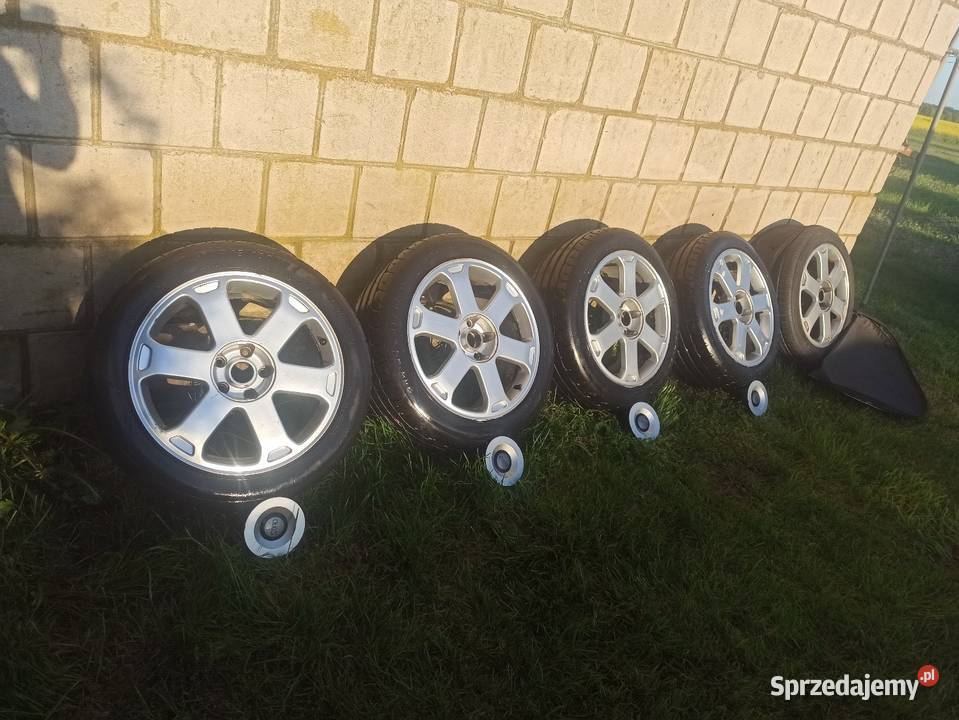 Avus 18 Krzywowólka