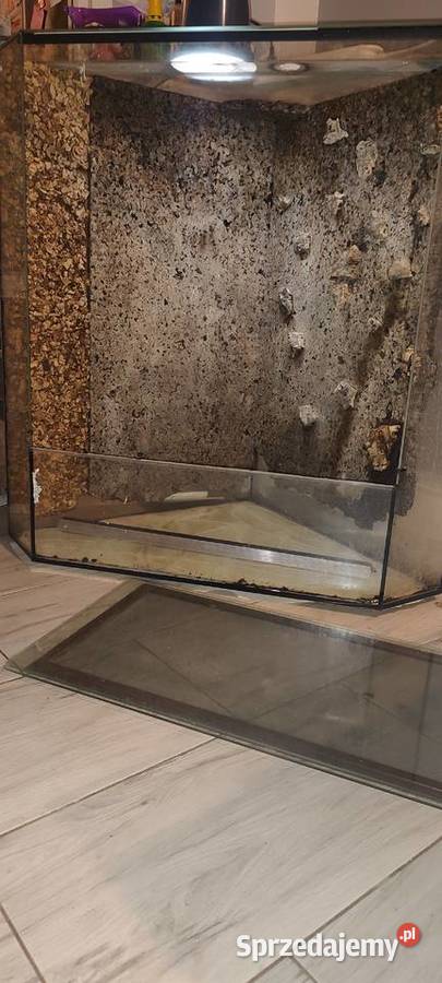 Terarium Terrarystyka Dobrzykowice sprzedam