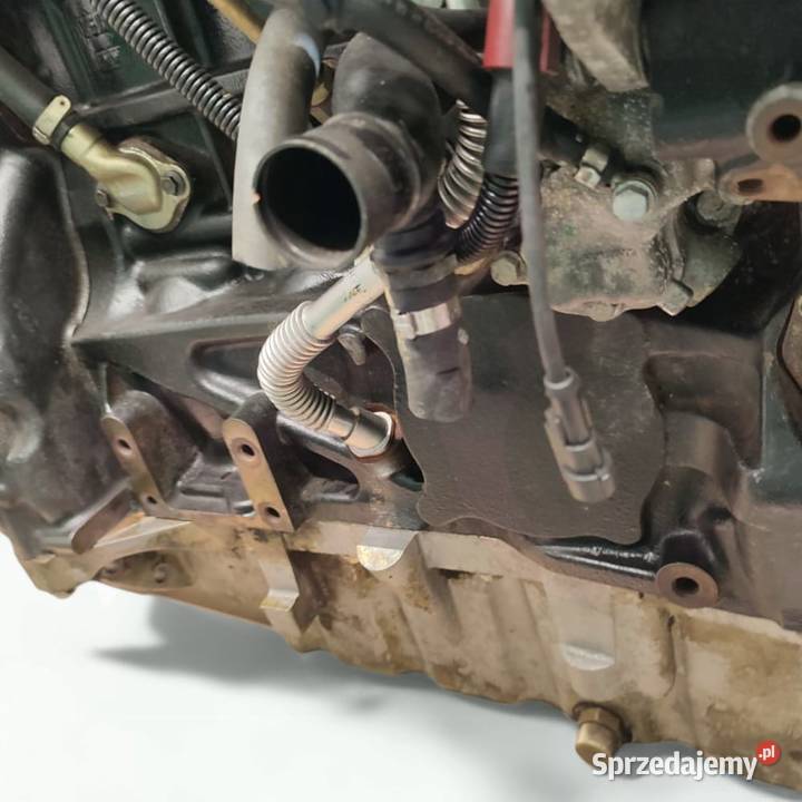 PERKINS F5DFL414C Wilkowo