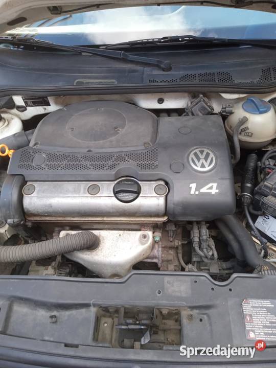 VW Polo 14 benzyna 1997 r Pierwszy właściciel Malbork sprzedam
