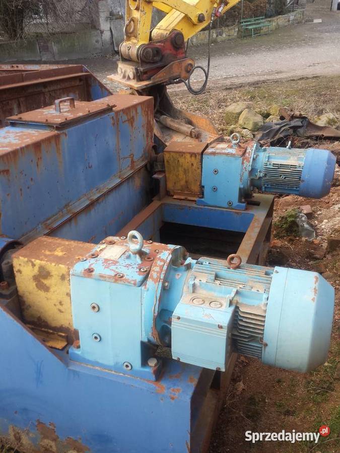 PŁUCZKA MIECZOWA dolnośląskie Chojnów