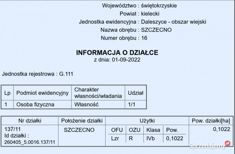25 Kielc uzbrojona w otoczeniu lasów utwardzona Szczecno sprzedam