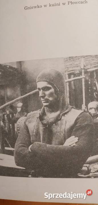 Gniewko syn rybaka Alina Korta Wrocław
