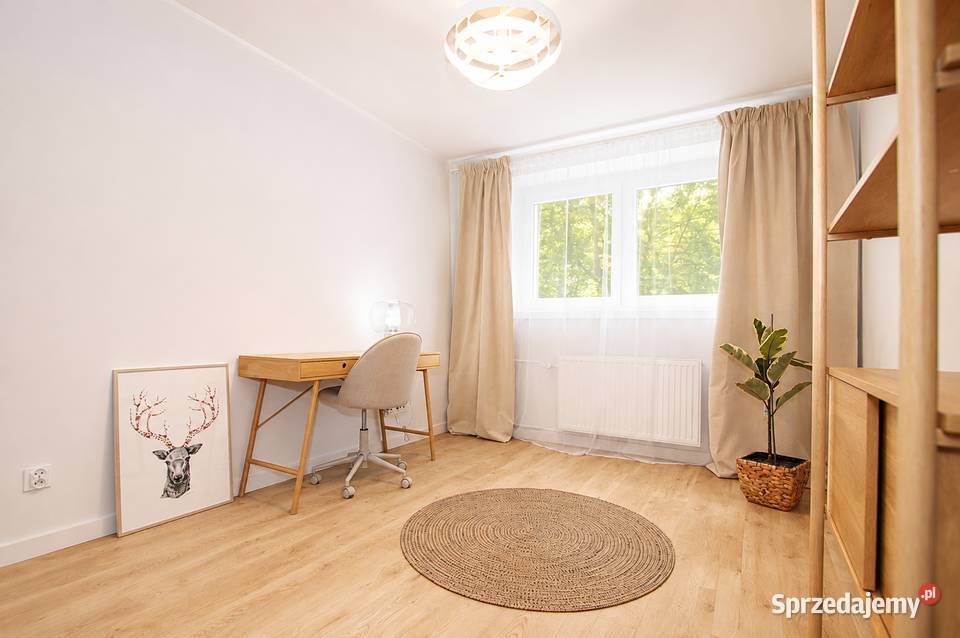 3 pok 5217m2 remoncie centrum Zielińskiego Wrocław sprzedam