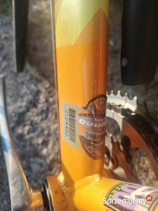 Rower szosowy Gazelle Primavera 58 Shimano Sora Brzozów
