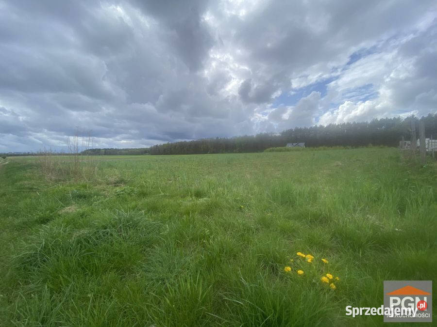 sprzedaży działki Gryfice 1505m2 50m Sprzedaż sprzedam