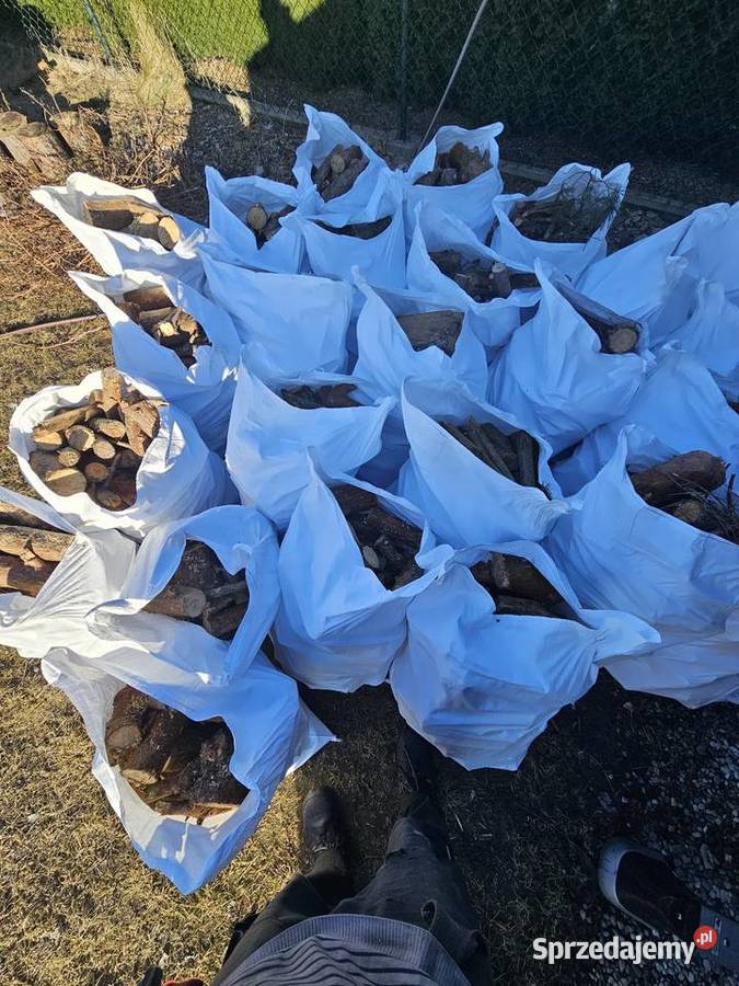 Sosna galeziowka pocięta Inowrocław