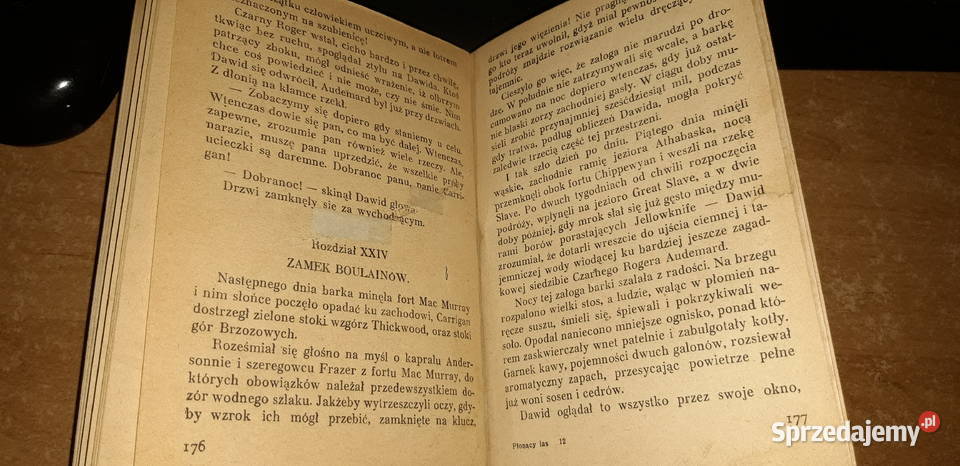 JOCURWOODPŁONĄCY LASWa1930pierwodruk No3224 cudo Iwno