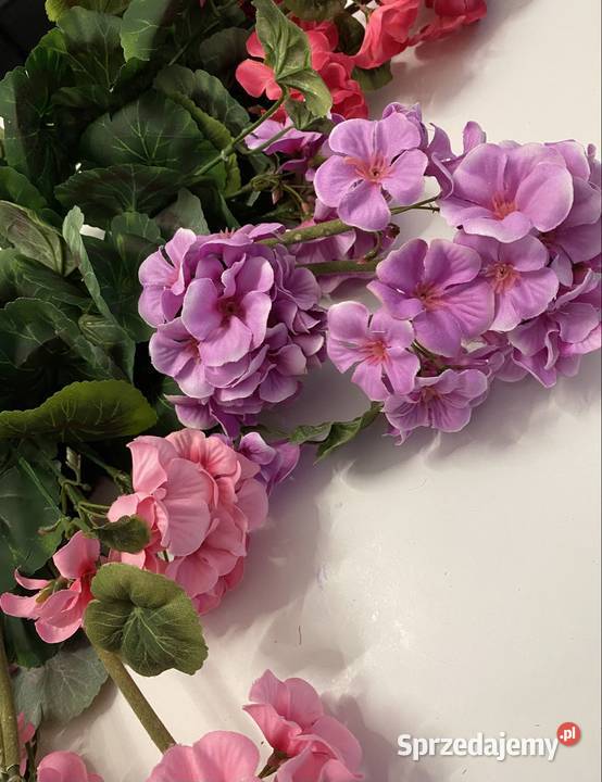 Pelargonia sztuczna Słubice