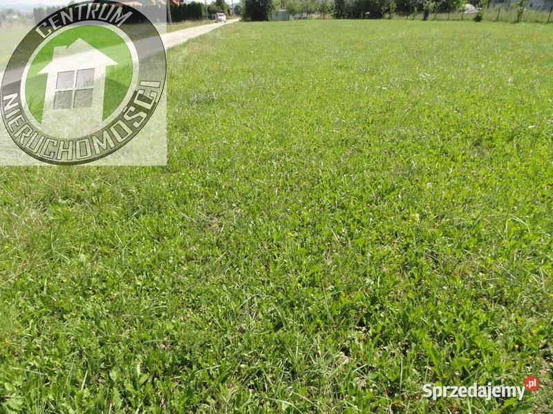 sprzedaży działki 1000m2 Brzezna
