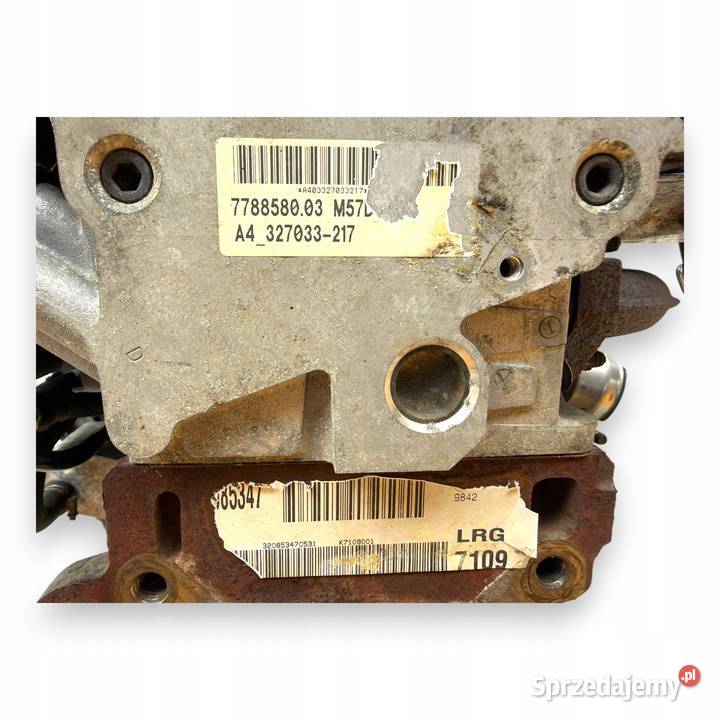 SILNIK M57D30 306D1 BMW X5 E53 30 D DIESEL 184 lubelskie Chełm