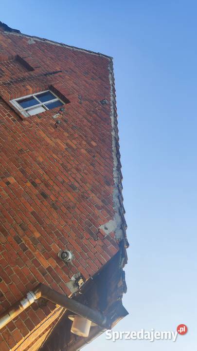 Około 600m2 Poniemiecka Dachówka do rozbiórki Krotoszyn