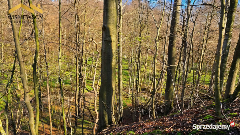 Działka 163 ha rezerwacie Lenki Dawidy warmińsko-mazurskie