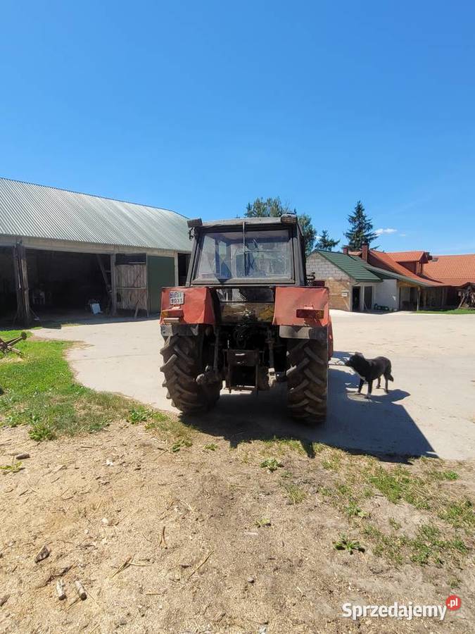 Zetor 8045 podlaskie