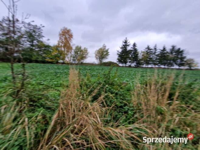 Syndyk sprzeda nieruchomość w miejscowości Syndyk sprzeda Jankowice