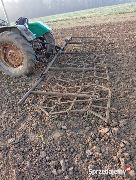 Brony 5 Brony Sanie-Dąb