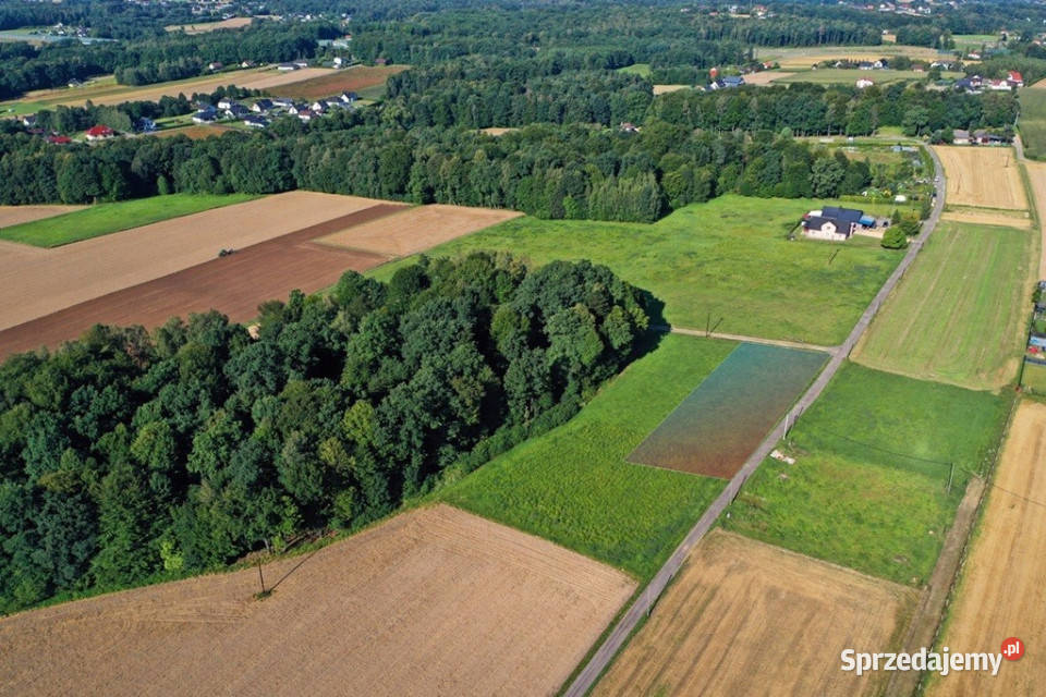 Widokowa działka budowlana w Pisarzowicach budowlana Pisarzowice