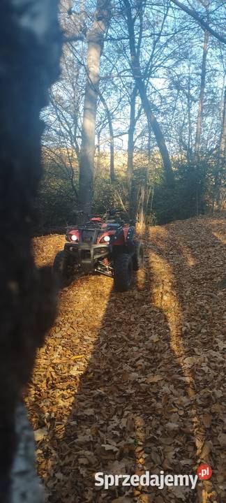 Quad hummer 150 skrzynia 31 do niedzieli czterosuwowy Trzciana sprzedam
