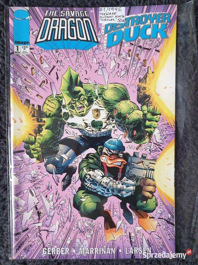 The Savage Dragon zestaw 14 komiksów Image USA Superbohaterowie