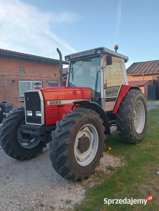 Massey Ferguson 3085 Piotrków Trybunalski