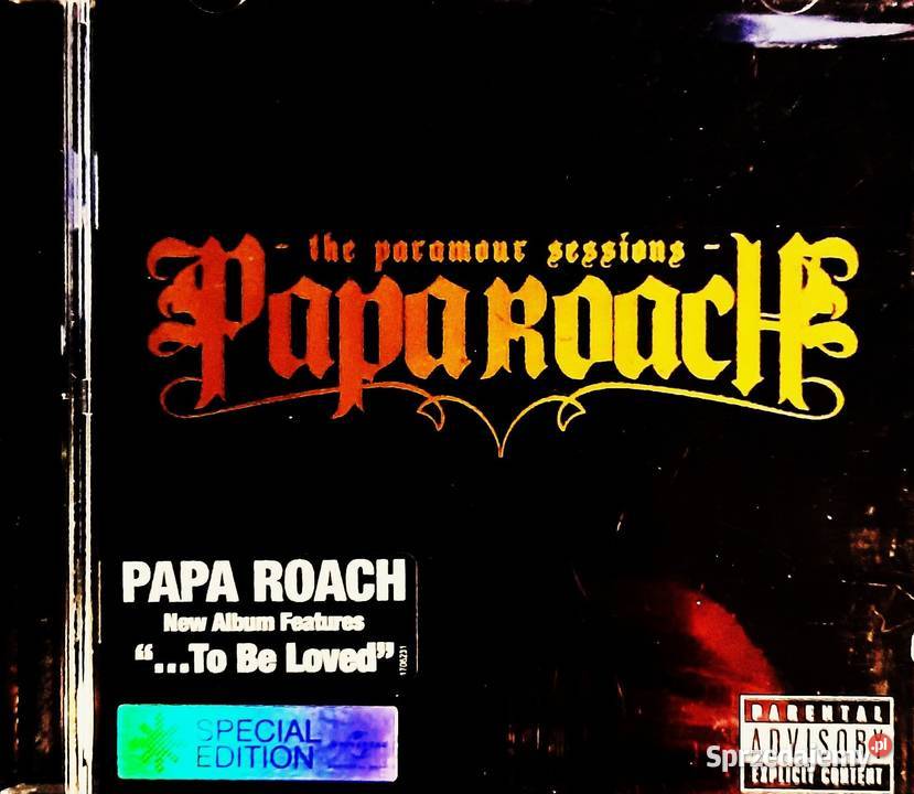 Album CD Kultowego Zespołu KORN UNTOUCHABLES mazowieckie Warszawa