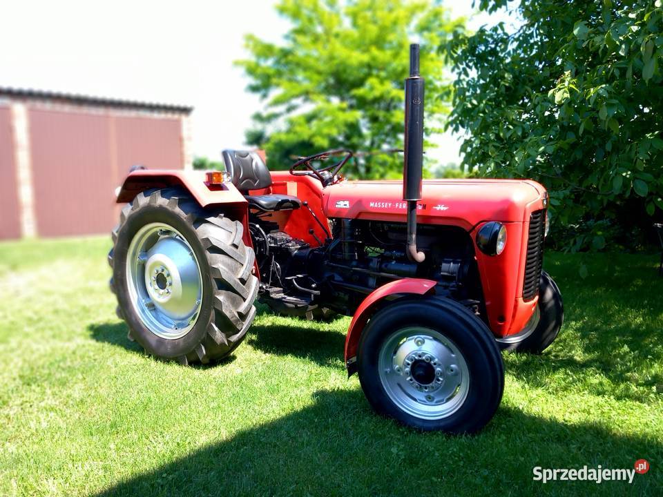 Massey Ferguson 35 Ostrów Wielkopolski