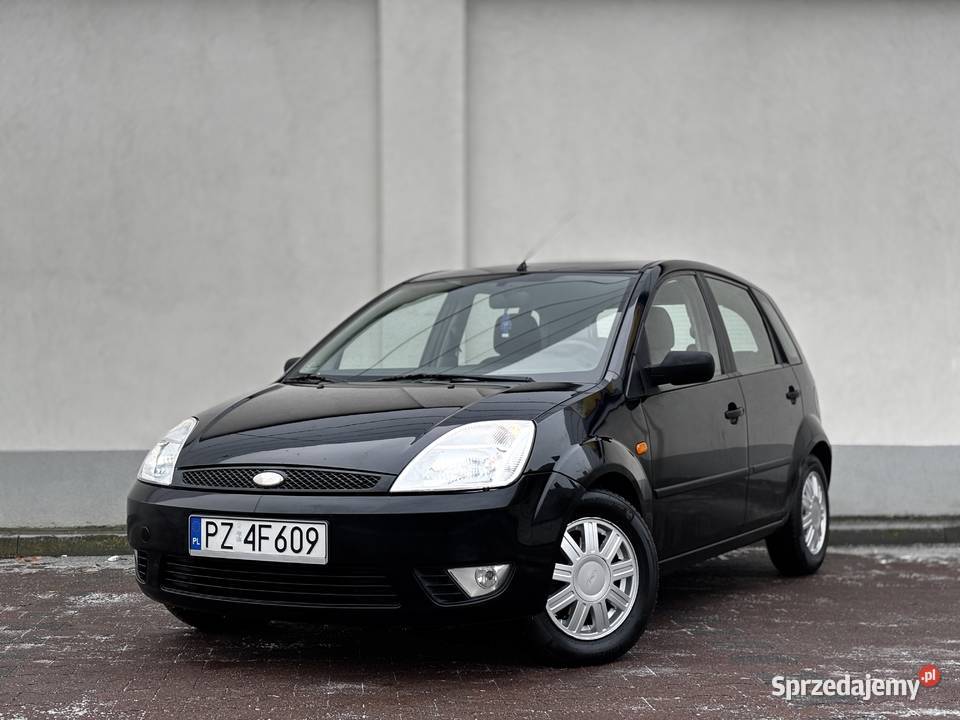 zadbany klimatyzacja nowe opony opłaty do końca Rok produkcji 2002 Fiesta wielkopolskie Kamionki