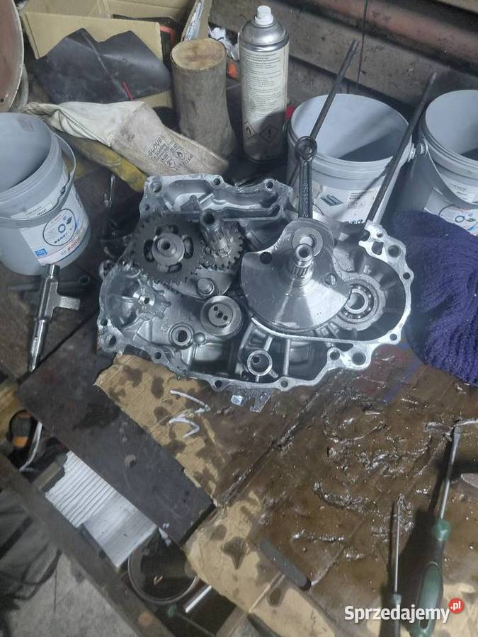 Silnik moretti 250 zs172fmm3a rozebrany cross śląskie Orzesze