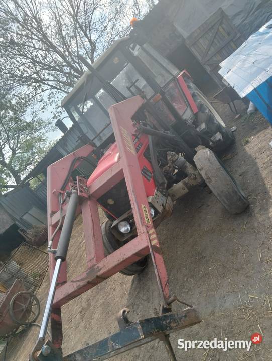Sprzedam Zetor 6911 Kcynia