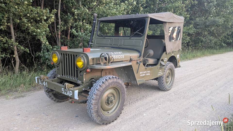 Jeep Willys m38 1951 Rok produkcji 1951 Mała Wieś