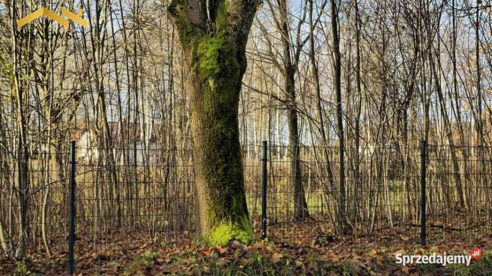 Dawidy duża działka 05306 ha WZ sprzedam