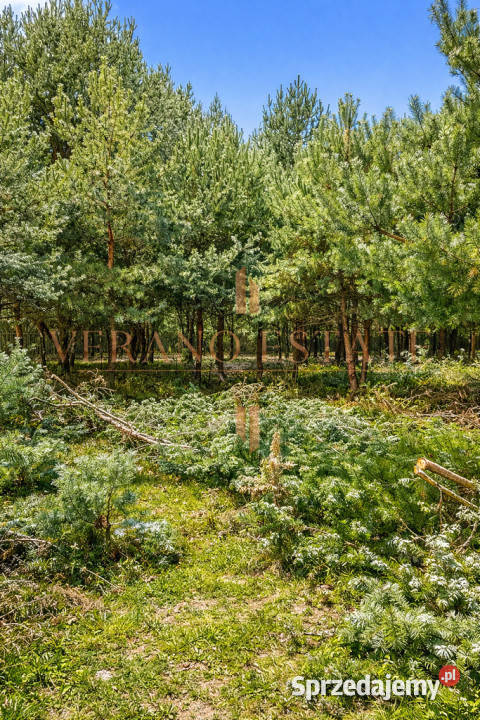 działka budowlana 3600 m Groszowice