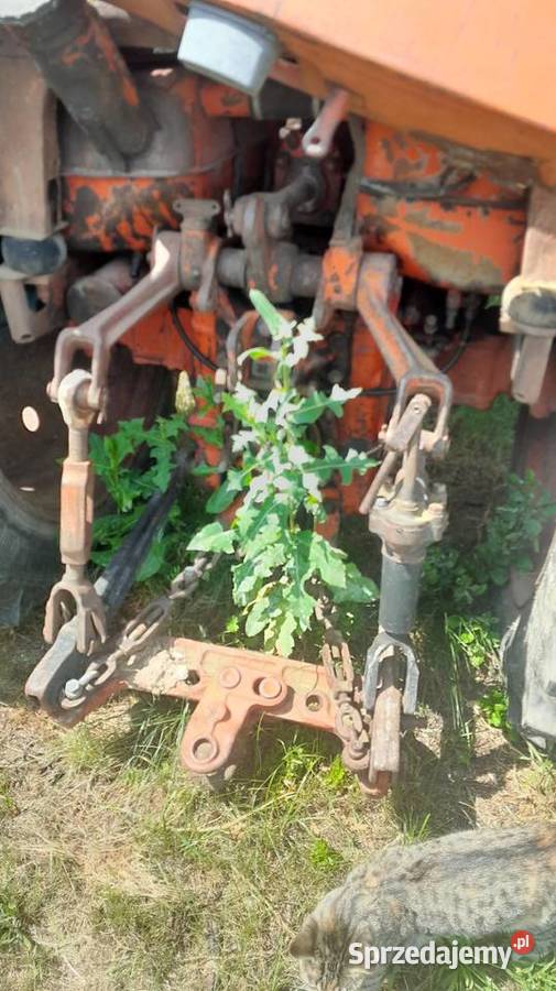Części mtz 82 84r sprzedam