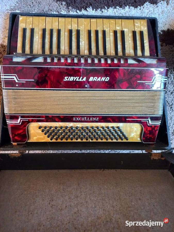 akordeon sibylla brand