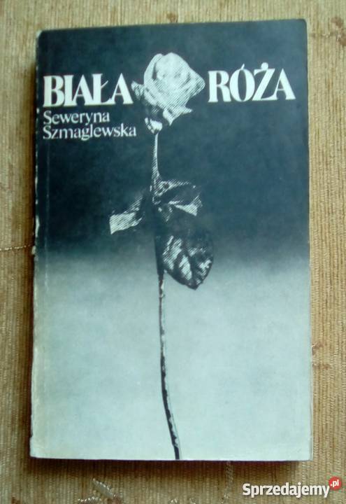 BIAŁA RÓŻA Seweryna SZMAGLEWSKA miękka Parczew
