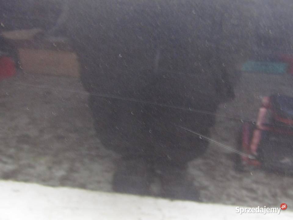 DRZWI TYLNE LEWY TYŁ ZMW SUZUKI SWIFT VI MK8 Drzwi