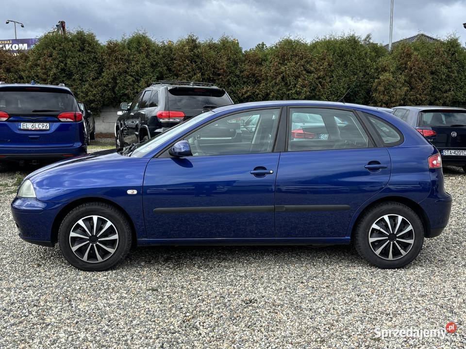 Seat Ibiza Paniówki