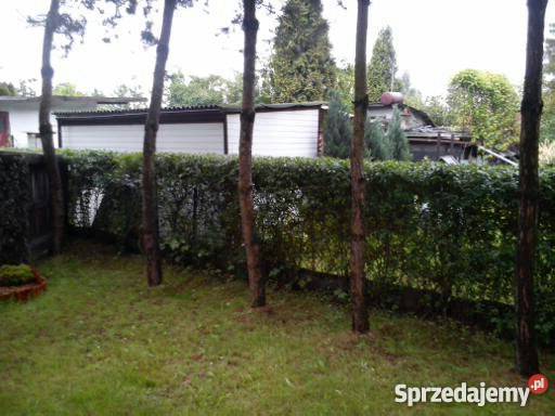 Sprzedam ogródek działkowy RODSielanka Bytom Grunty i działki śląskie Bytom