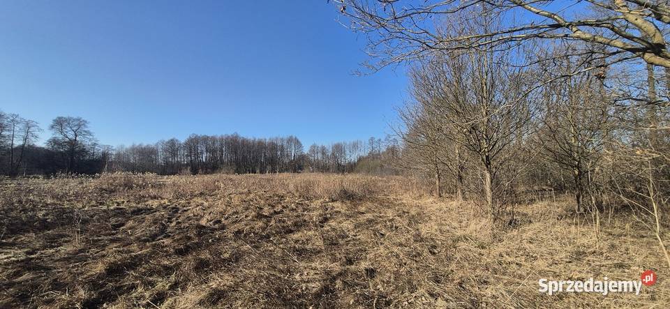 Działka rolna 11900m2 gmina Leoncin Secymin Polski