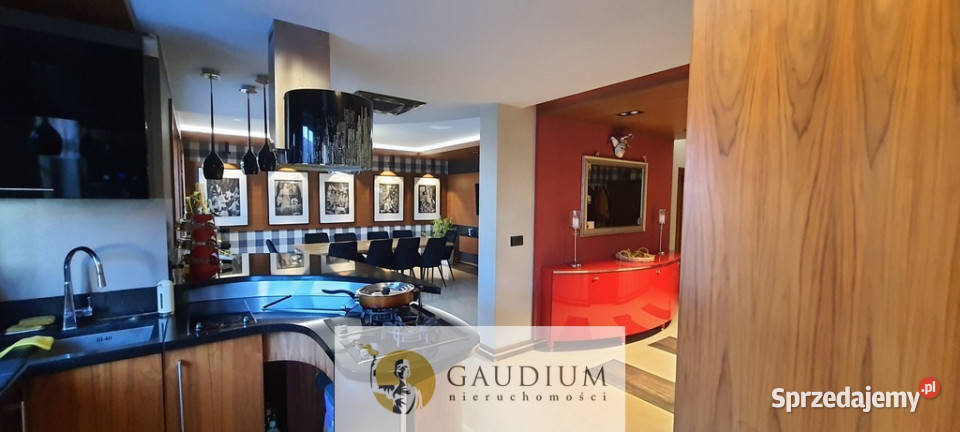 Tczew dom z trzema osobnymi mieszkaniami piwnica