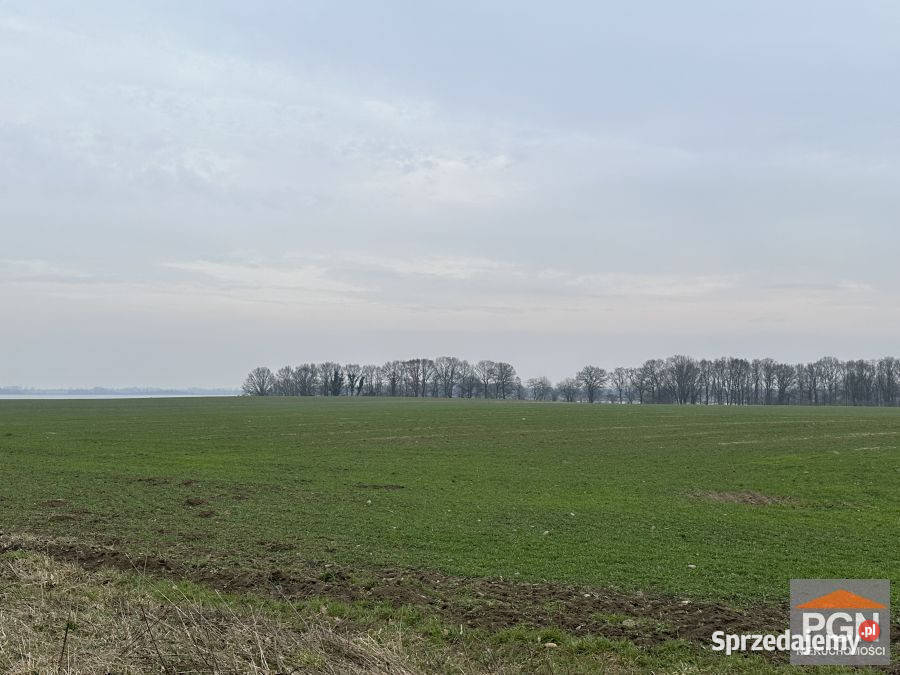 Ogłoszenie działka 27234m2 Chrząszczewo 20zł/m2 sprzedam