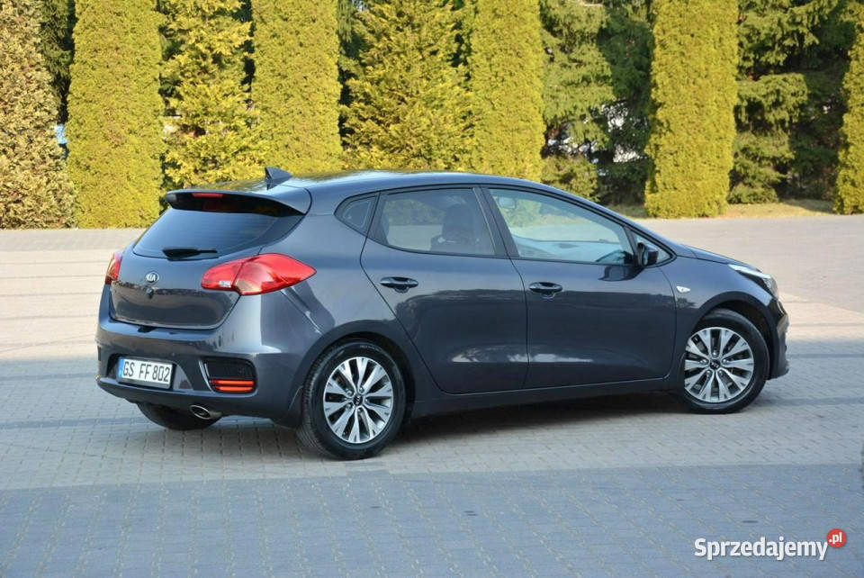 Kia Ceed 2017R Lift Duża Navi Kamerac Parktronic Rok produkcji 2017 Kia mazowieckie Ostrów Mazowiecka