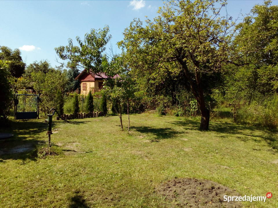 Działka ROD na tyłach Wola Parku Warszawa